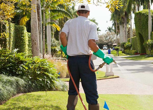 About Mission Valley Pest Control Pros